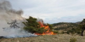 L'incendio nel Parco dell'Appennino Piemontese tra Capanne di Marcarolo e Praglia