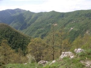 La Valle dei Campassi a Carrega Ligure