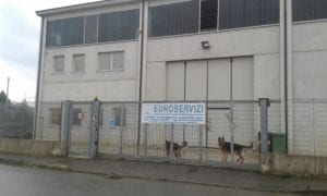 La sede della Euroservizi a Serravalle Scrivia