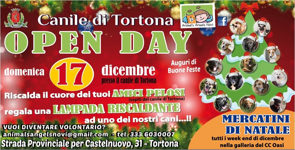 canile open day