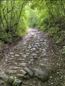 Malvino la scorsa primavera