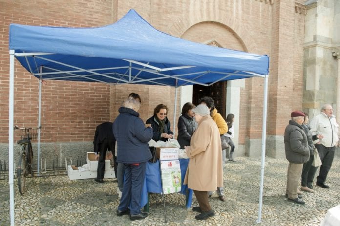 patate della ricerca 2017
