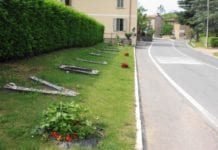 Volpedo ingresso in paese con fragole