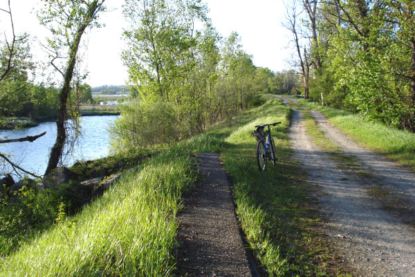 L'ok della Provincia al progetto per migliorare i boschi dello Scrivia