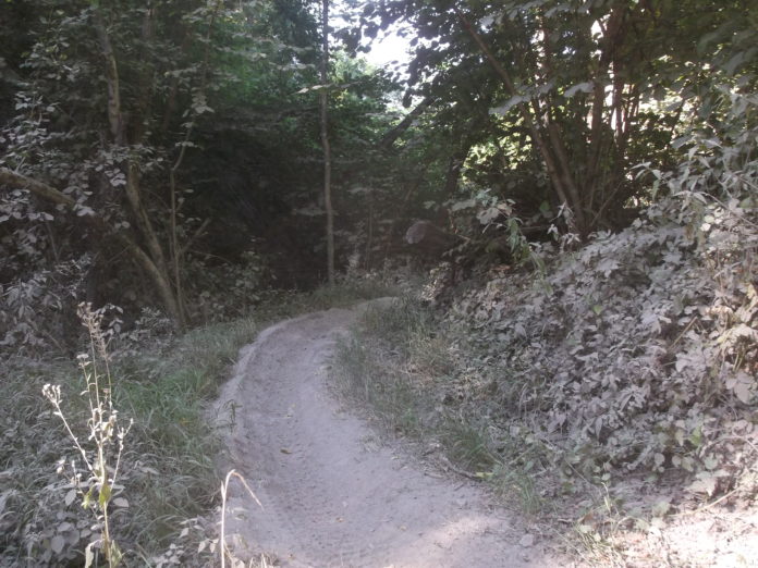 madonnina Brignano Frascata07 09 2021