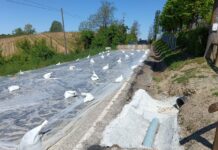 “400 mila euro per la riapertura della strada provinciale della Lomellina”