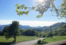 Passi nella storia e nella natura: tra le valli Borbera e Spinti la camminata del FAI per la biodiversità