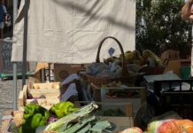 Il Mercato contadino di Gavi compie un anno: edizione speciale con musica e degustazioni