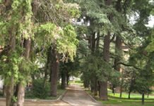 Atti vandalici nel Parco “Ragazzi della Benedicta”: dal Comune in arrivo le denunce