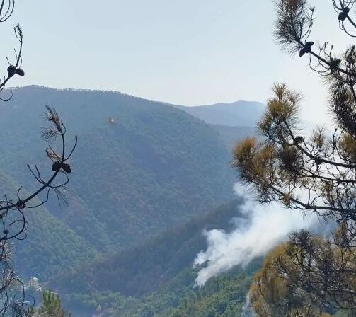 mornese incendio 17 agosto 1